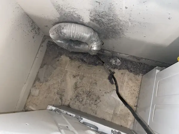 Dusty bathroom exhaust fan housing before cleaning