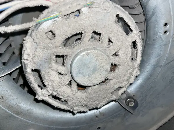 Furnace blower wheel caked with dust before cleaning