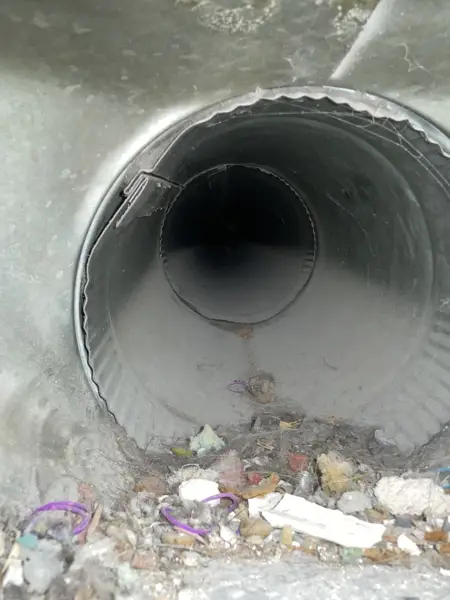 Debris and lint pulled from a clogged vent